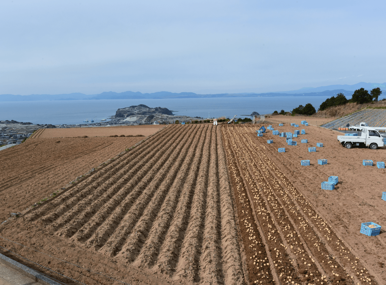 収穫後の畑と軽トラックの画像