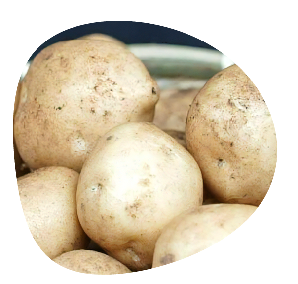 美味しそうなじゃがいもの画像