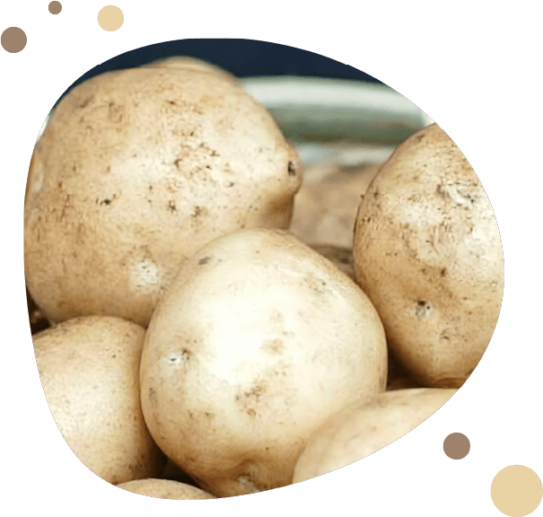 美味しそうなじゃがいもの画像